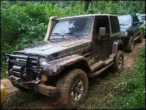 Troller T4