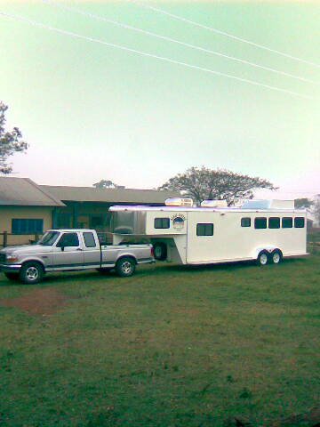 f1000 magro