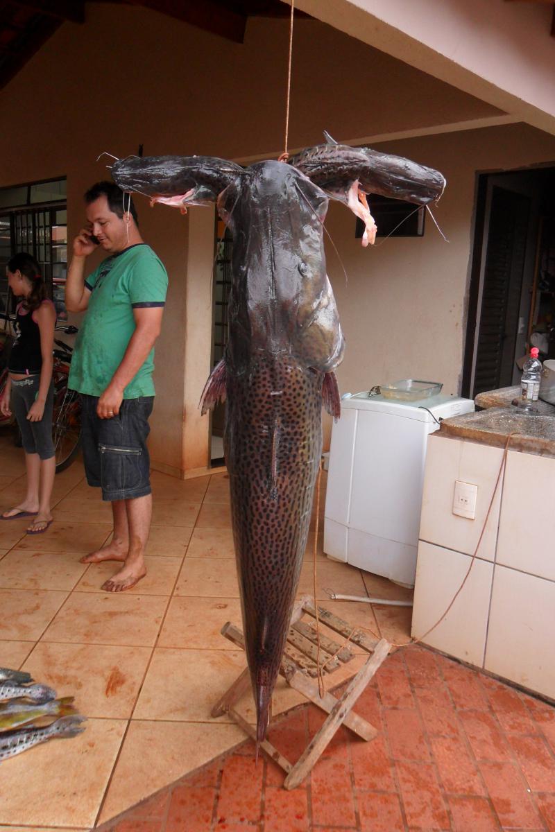 resultado da pescaria rio brilhante