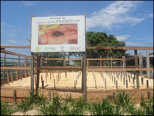 8 Nem tudo esta perdido