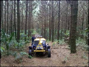 Gaiola 4x4