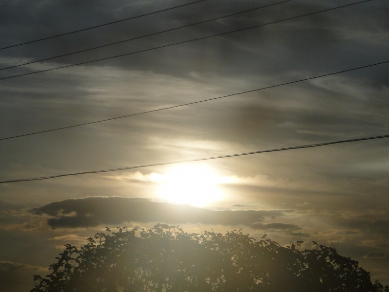 DSC00818