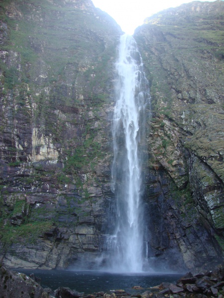 DSC02554