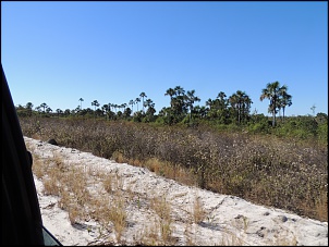 PARQUE NACIONAL GRANDE SERTO VEREDAS