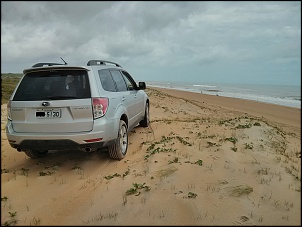 Forester praia