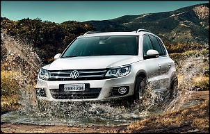 tiguan 2014