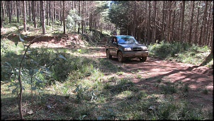 Passeio Campo Alegre 1