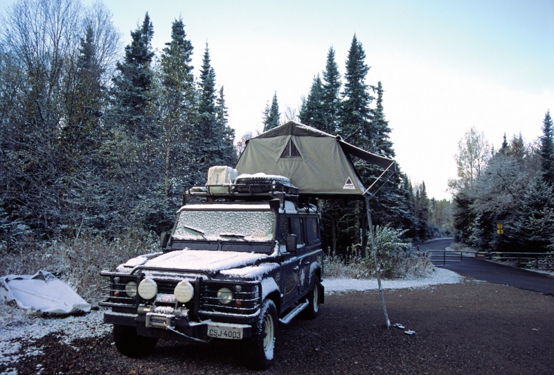 baloo 015