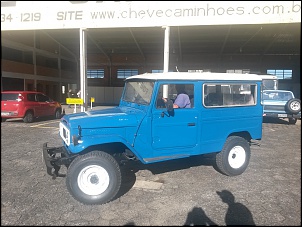 Fotos da Gralha Azul