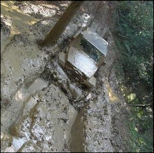 Trilhas da Serra do Mar.