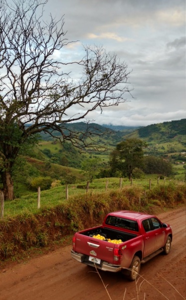Mexendo na caixa de 3 marchas do Jeep-flavioverna_4x4brasil-8-.jpg
