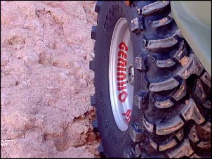 GeniusTyres Pneus nervosos!!!!!!!!!!!!!!!-argentino5-site.jpg