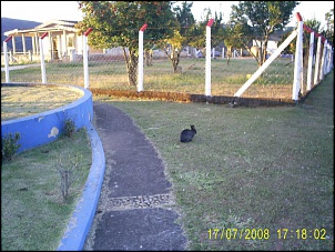 GM Tracker.-s4023967.jpg