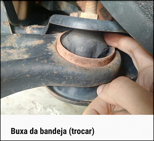 -bucha-bandeja.jpg