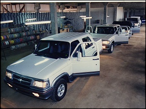 Chevrolet  D10  e  D20  modelos estranhos-d20-besson-gobbi-3.jpg