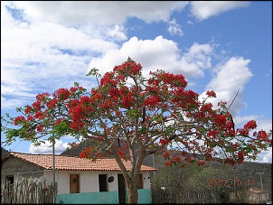 -viagem_rs-2007-043.jpg