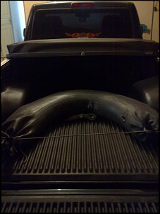 Ranger Sport x Strada Locker Adventure-021020081139-1.jpg