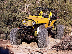 -04034wd_oldyeller02_z.jpg