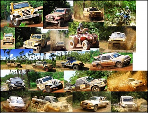 Cerapio - 2011-cerapio2011.jpg