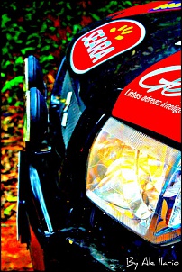 Rallye Mitsubishi - TURISMO LIGHT - Etapa SJC-photo-5-.jpg