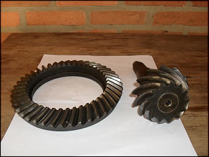 -coroa-e-pinhao-13x43-dana-44-001.jpg