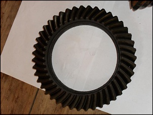 -coroa-e-pinhao-13x43-dana-44-002.jpg