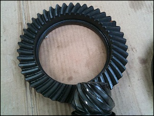 compro coroa e pinhao 53x9 D44-img_1287.jpg