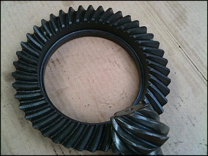 compro coroa e pinhao 53x9 D44-img_1288.jpg