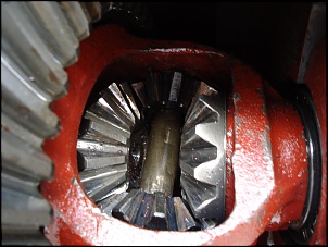 compro dana 44-dsc07870.jpg