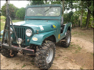Procuro jeep ford ou willys para fazer-061108-080.jpg