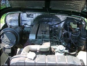 Procuro Bandeirante-dsc05157.jpg