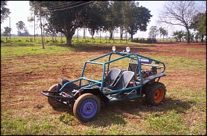 Compro gaiola-gaiola-008.jpg
