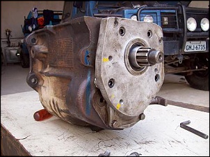 Puro Sangue-240v-mod.jpg