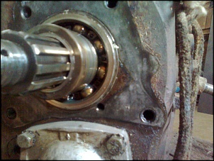 Engesa F1 + motor de Silverado GM 4.1 MPFI + 240V-foto0277.jpg
