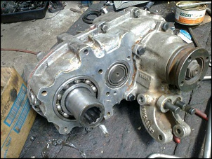 Engesa F1 + motor de Silverado GM 4.1 MPFI + 240V-luva1.jpg