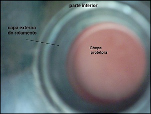 -capainf_136.jpg