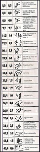 II Encontro Nacional Jeep - XJMC 2008 - Atibaia - SP-pedragde_peao.jpg