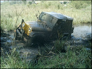 -jacutinga-175.jpg