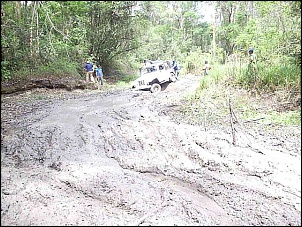 -jacutinga2006-160.jpg