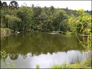 -hpim0355.jpg