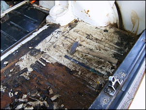 -hpim0487.jpg