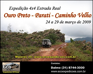 -cartaz-er-parati-2009.jpg