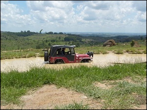 -willys.jpg