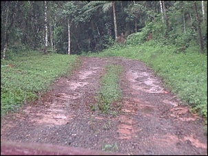 Clube do Tracker !!-st-.-.-do-pinhal-sitio-do-marco-maga13.jpg