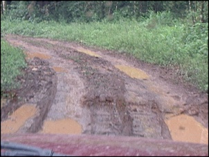 Clube do Tracker !!-st-.-.-do-pinhal-sitio-do-marco-maga15.jpg