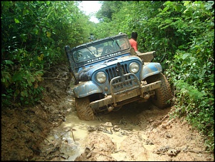 Clube do Tracker !!-dsc00198.jpg