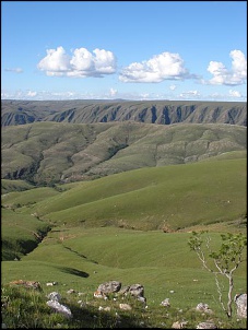 -pa310386.jpg