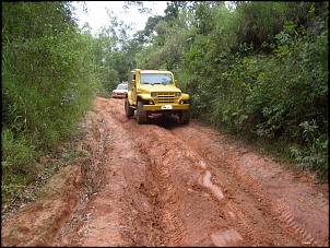 -s6303382.1.jpg