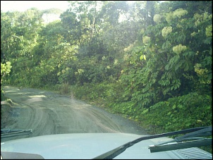 -s4026259.jpg