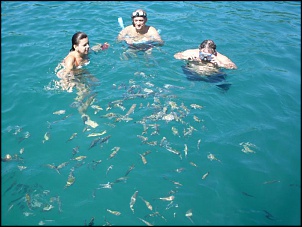 -ilha-comprida3.jpg